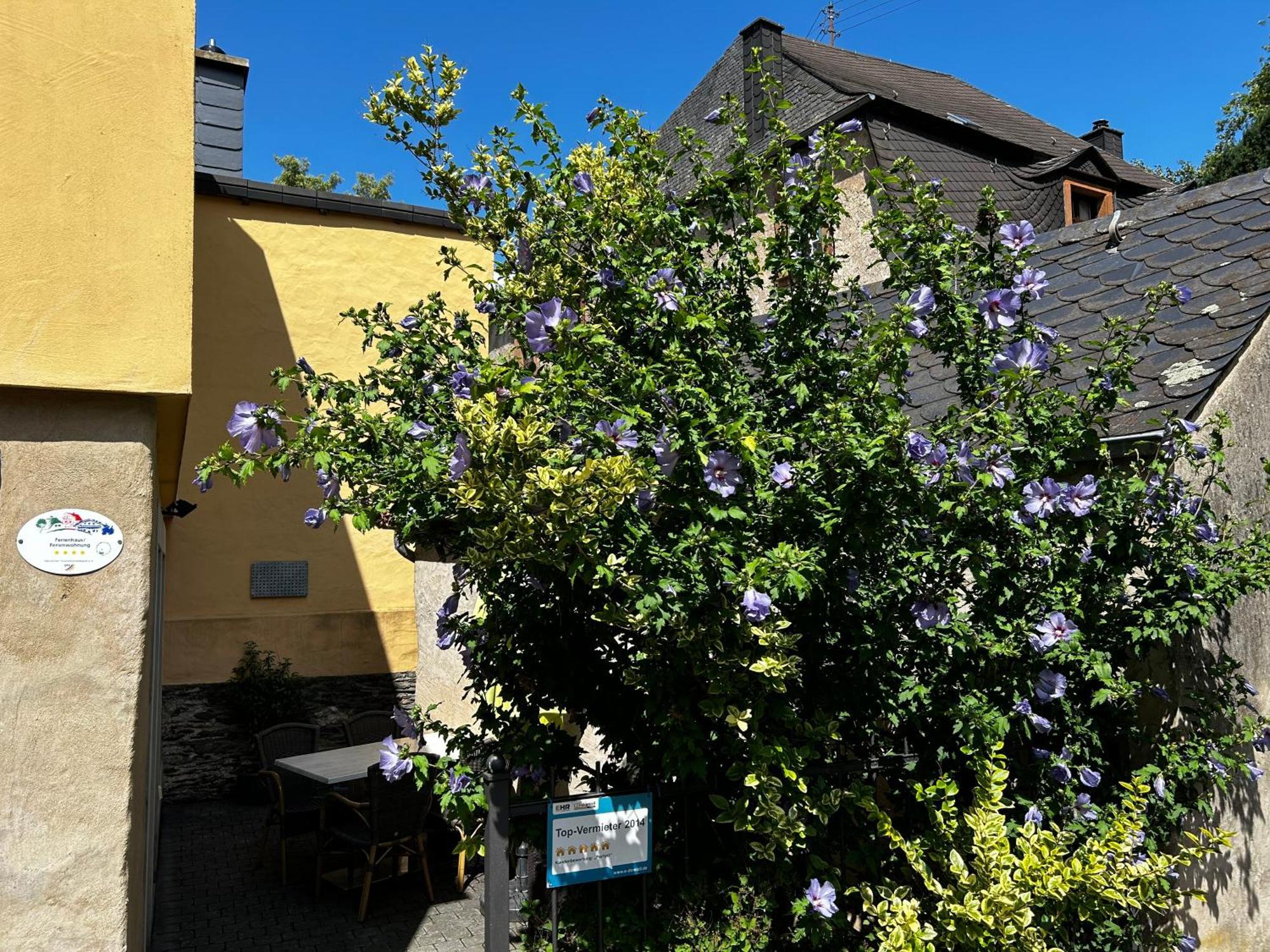 Ferienhaus Ausonius Neumagen-Dhron Exteriör bild